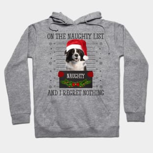 On The Naughty List, And I Regret Nothing Hoodie